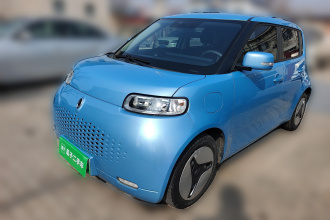 欧拉白猫 2020款 360km 标准型