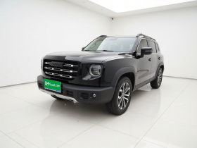 哈弗大狗 2022款 1.5T DCT两驱边牧版