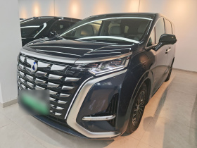 腾势D9 2022款 DM-i 970 四驱旗舰型