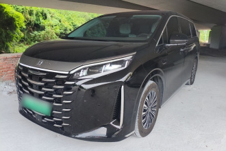 比亚迪 夏 2025款 DM-i 1.5T 100km 领先型