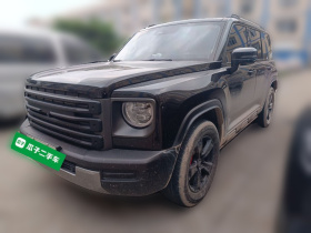 哈弗猛龙新能源 2024款 Hi4 102 Pro