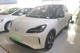 五菱汽车 五菱缤果PLUS 2024款 330km 五座版