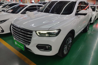 哈弗H6 2020款 1.5GDIT 自动铂金冠军版