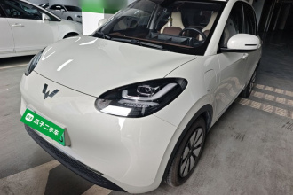 五菱汽车 五菱缤果 2023款 333km 悦享款