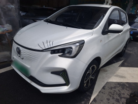 长安 奔奔E-Star 2020款 心动版 三元锂