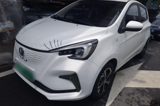 长安 奔奔E-Star 2020款 心动版 三元锂