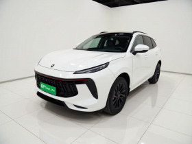 东风风行 风行T5 EVO 2021款 1.5TD DCT钻石版