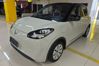 五菱汽车 五菱缤果 2023款 333km 快享款
