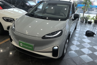 ARCFOX极狐 极狐考拉 2023款 家庭版