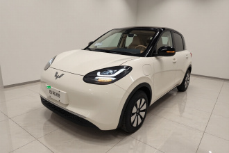 五菱汽车 五菱缤果 2025款 333km 悦享款