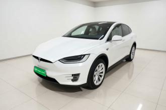 特斯拉 Model X 2019款 长续航版