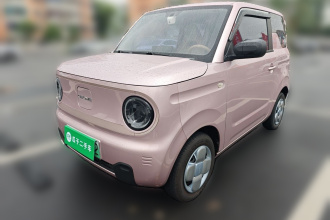 吉利银河 2023款 熊猫mini 200km 耐力熊