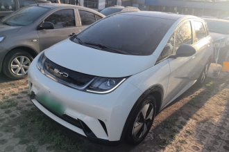 比亚迪 海豚 2023款 420km 时尚版