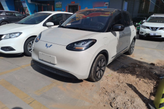 五菱汽车 五菱缤果 2024款 333km 悦享款