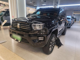 坦克700新能源 2024款 Hi4-T 极境版