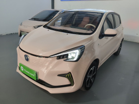 长安 奔奔E-Star 2022款 清心版 多彩款 磷酸铁锂