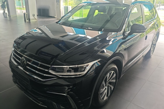 大众 途观L新能源 2023款 430PHEV 插电混动尊贵版