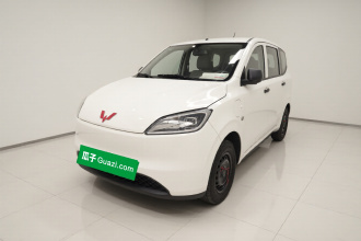 五菱汽车 五菱宏光新能源 2024款 纯电版 300KM 标准型