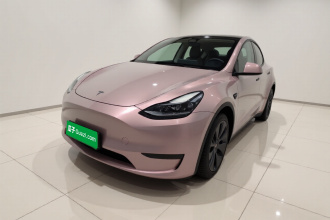 特斯拉 Model Y 2021款 标准续航后驱版