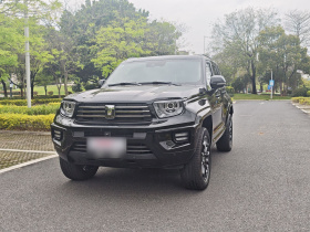 坦克700新能源 2024款 Hi4-T 极境版