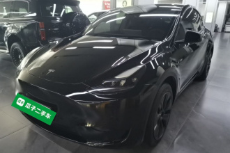 特斯拉 Model Y 2023款 后轮驱动版