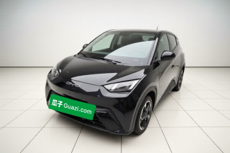 比亚迪 海鸥 2023款 飞翔版