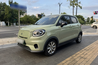 零跑汽车 零跑T03 2022款 皓玉版
