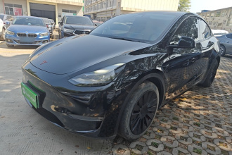 特斯拉 Model Y 2021款 标准续航后驱版