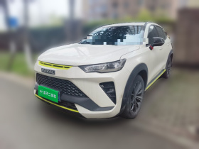 哈弗H6S 2022款 2.0T 两驱智跑版