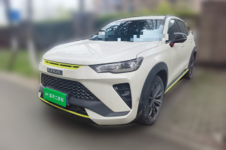 哈弗H6S 2022款 2.0T 两驱智跑版