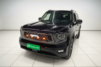 哈弗大狗 PLUS 2023款 2.0T 两驱潮野版Plus