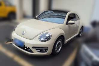 大众 甲壳虫 2019款 180TSI 珍藏版