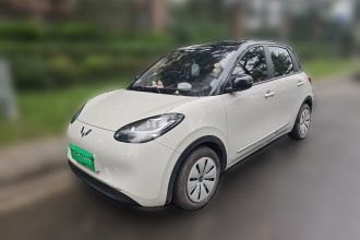 五菱汽车 五菱缤果 2023款 203km 轻享款