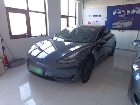 特斯拉 Model 3(进口) 2019款 长续航后驱版