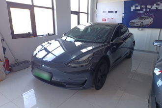 特斯拉 Model 3(进口) 2019款 长续航后驱版