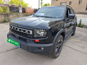 捷途自由者 2025款 2.0TD 穿越