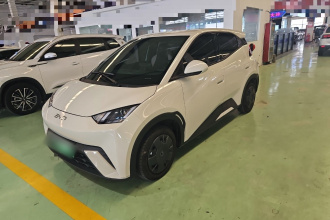 比亚迪 海鸥 2024款 荣耀版 305km 活力版