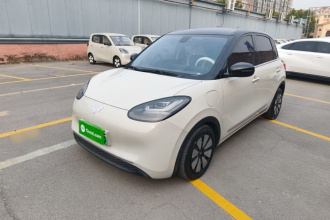 五菱汽车 五菱缤果 2023款 410km 灵犀尊享款