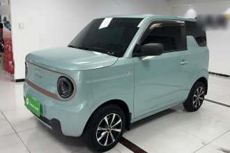 吉利银河 2023款 熊猫mini 200km 耐力熊