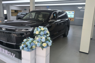 奇瑞风云 风云T11 2026款 220四驱双IMAX影院版