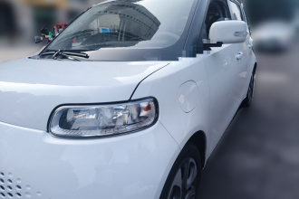 欧拉白猫 2020款 305km 豪华型