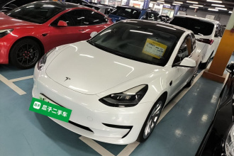 特斯拉 Model 3 2021款 标准续航后驱升级版 3D6