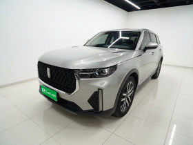 奔腾T99 2022款 20TD 自动运动尊贵型