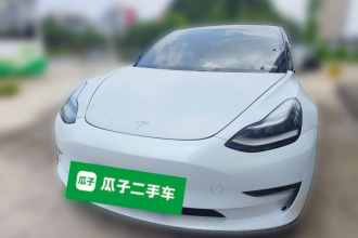 特斯拉 Model 3(进口) 2019款 长续航全轮驱动版
