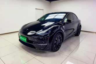特斯拉 Model Y 2022款 Performance高性能全轮驱动版