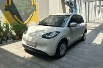五菱汽车 五菱缤果 2024款 203km 轻享款