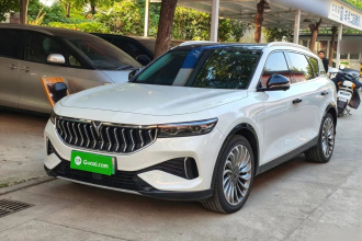 岚图汽车 岚图FREE 2021款 四驱标准纯电专属豪华套装