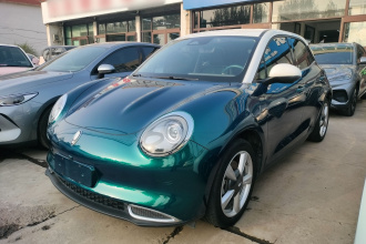 欧拉好猫 2021款 400km标准续航 维纳斯版 三元锂