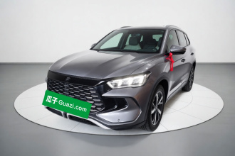 比亚迪 宋Pro新能源 2023款 冠军版 DM-i 71KM领先型