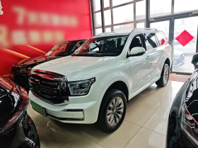 坦克500新能源 2024款 Hi4-T